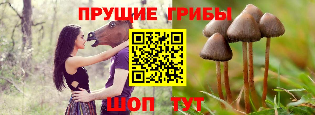 Борисоглебск  Галлюциногенные грибы мухоморы  Вход с VPN 